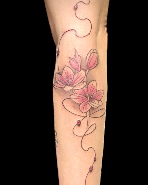 Magnolie fine line