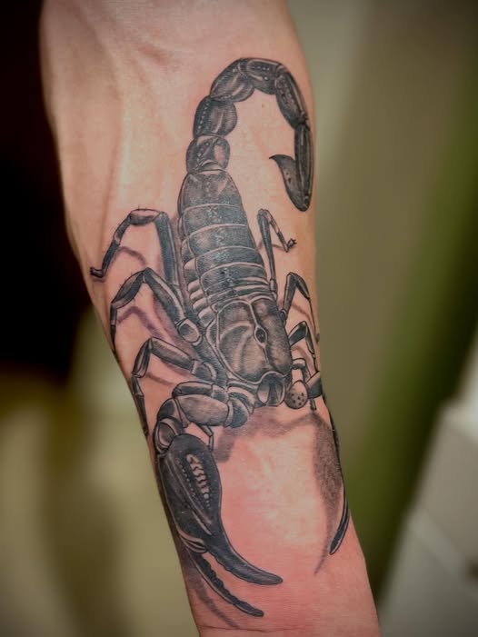 Avambraccio: scorpione in realismo black and grey