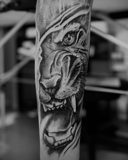 Tigre in realismo black and grey